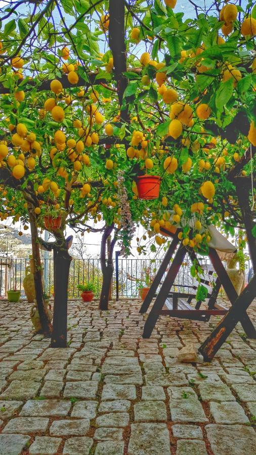 Il Limoneto Degli Angeli Villa Minori Dış mekan fotoğraf