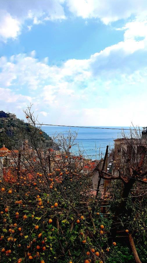 Il Limoneto Degli Angeli Villa Minori Dış mekan fotoğraf