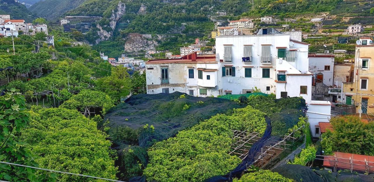 Il Limoneto Degli Angeli Villa Minori Dış mekan fotoğraf