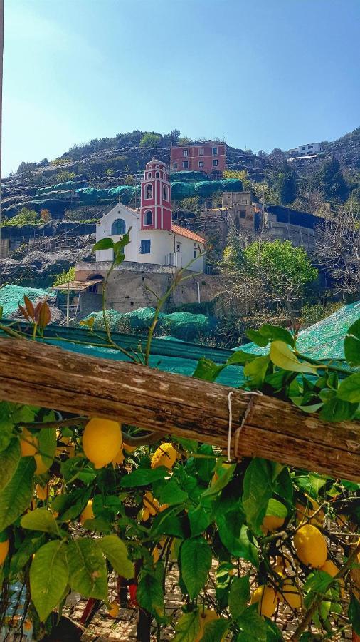Il Limoneto Degli Angeli Villa Minori Dış mekan fotoğraf