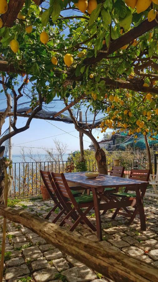 Il Limoneto Degli Angeli Villa Minori Dış mekan fotoğraf
