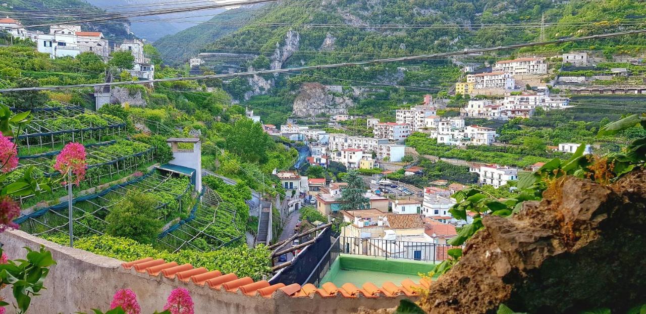 Il Limoneto Degli Angeli Villa Minori Dış mekan fotoğraf