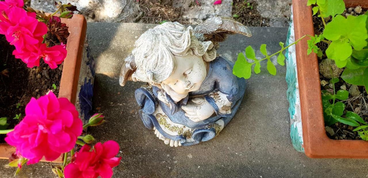 Il Limoneto Degli Angeli Villa Minori Dış mekan fotoğraf