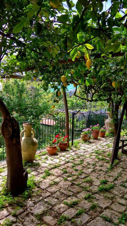 Il Limoneto Degli Angeli Villa Minori Dış mekan fotoğraf